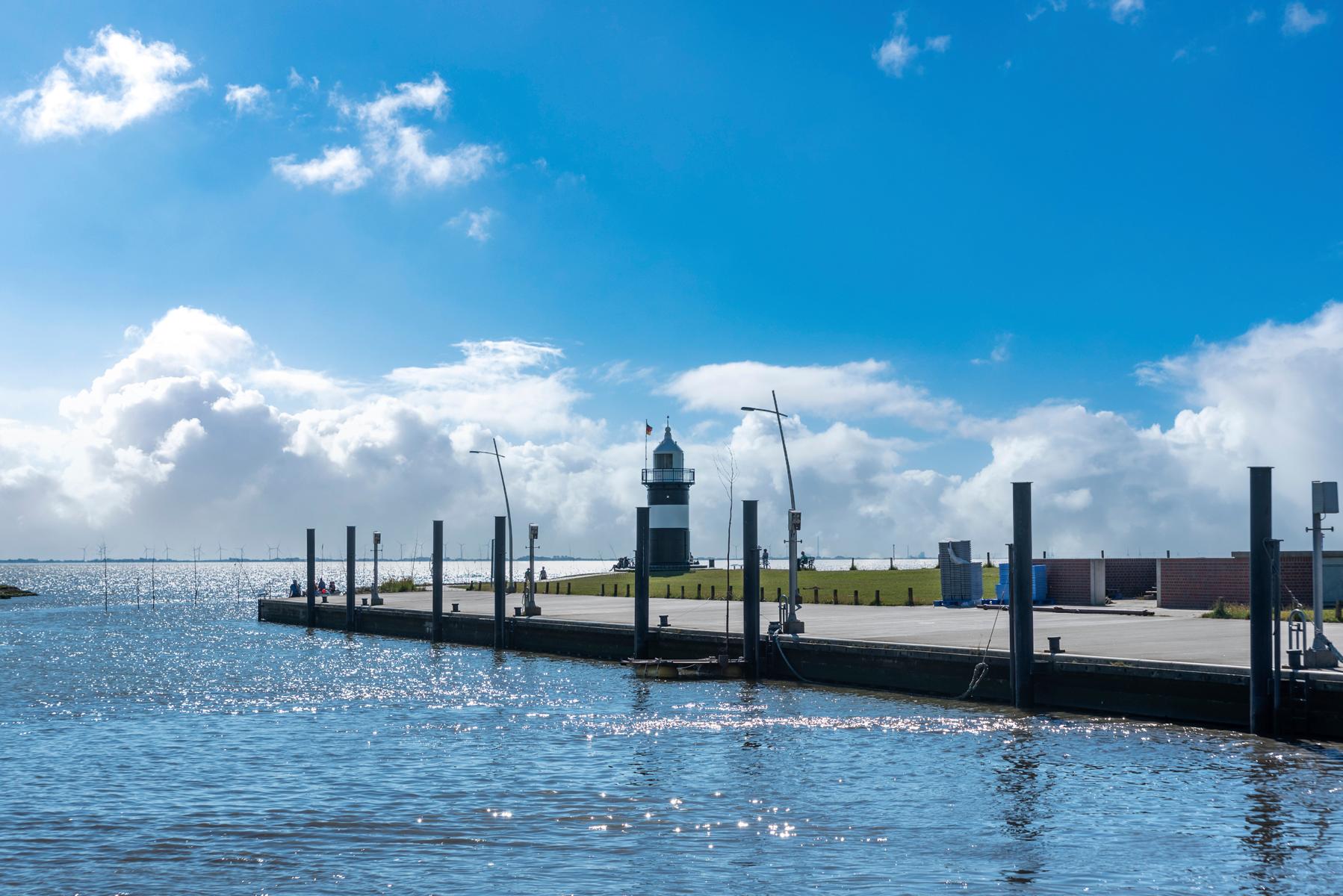 AdobeStock_449886691