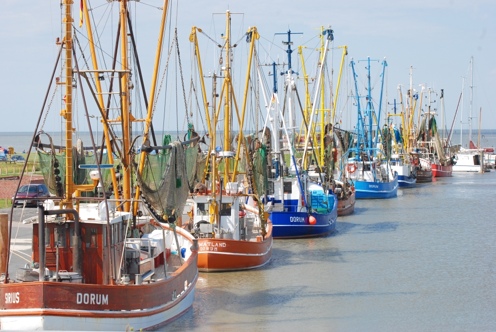 Kutterhafen Dorum